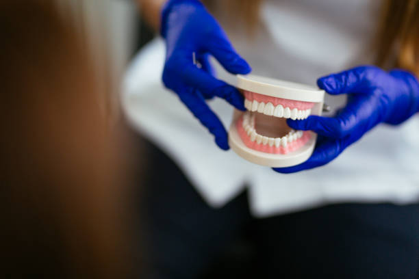 Best Periodontal (Gum) Disease Treatment  in Campbellsburg, KY
