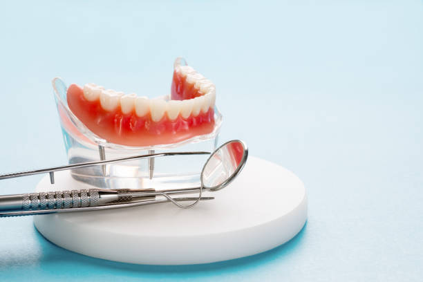Best Preventive Dentistry  in Campbellsburg, KY